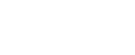 Double Star logo